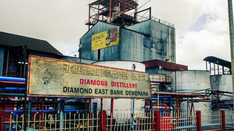 Demerera Distillers Limited