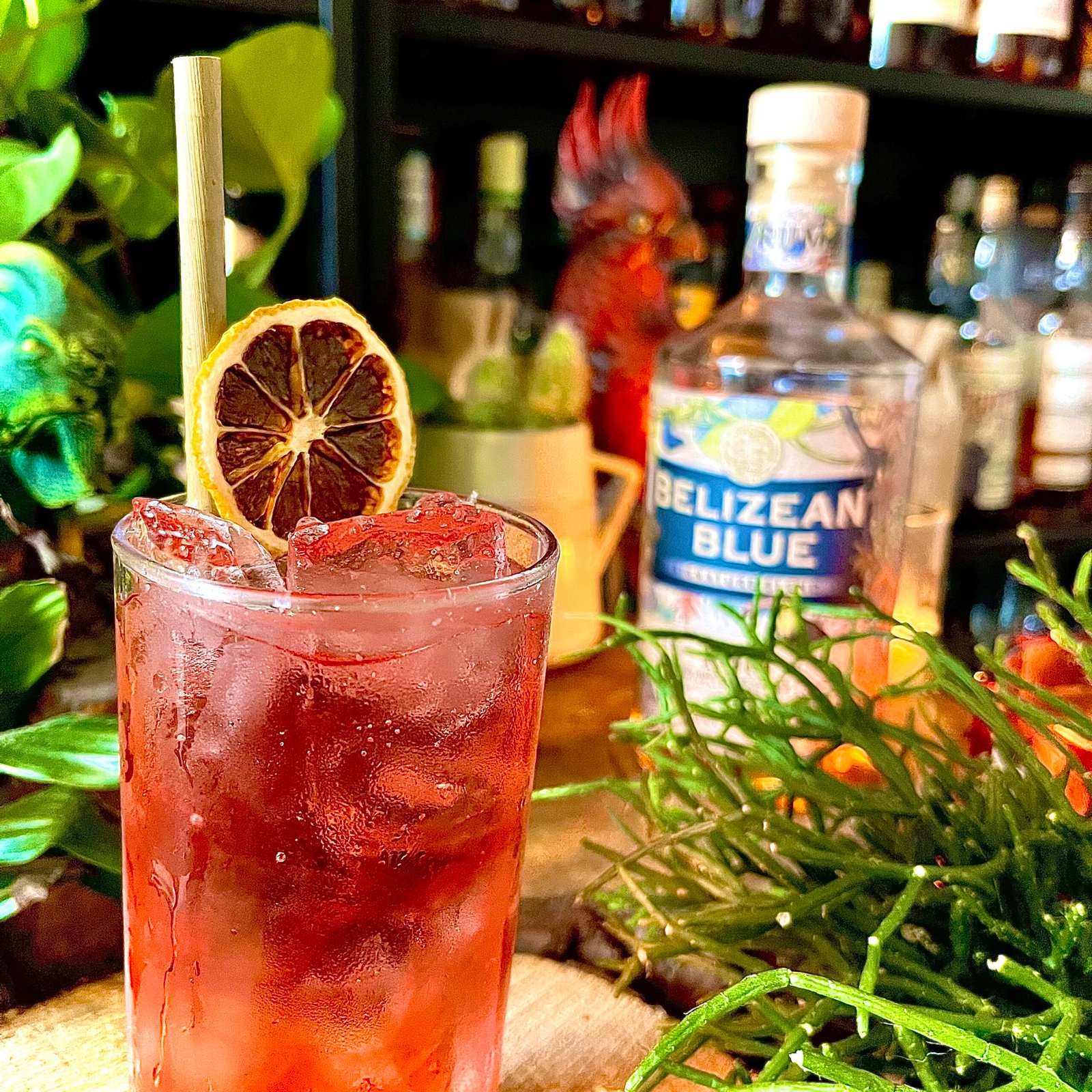 Belizean Berry Fizz Rum Cocktail