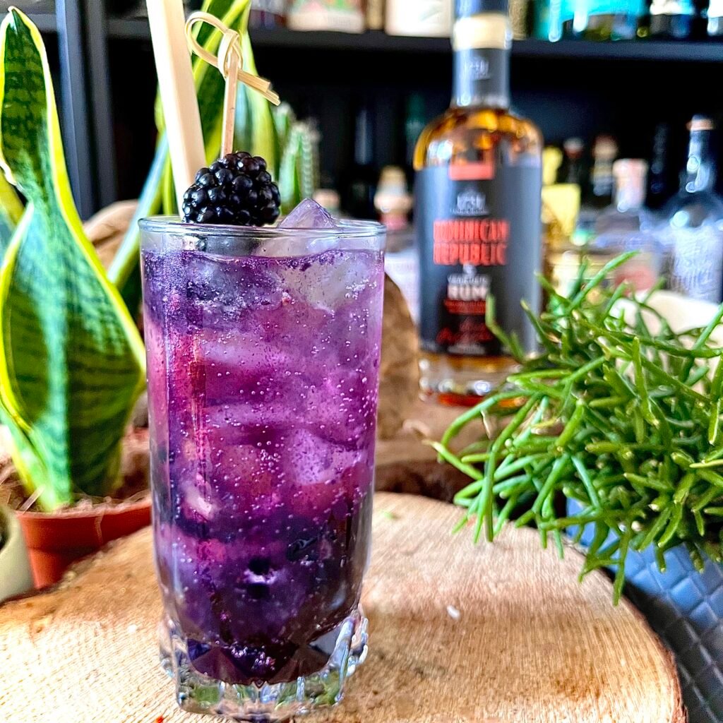 1731 Blackberry Fizz Rum Cocktail