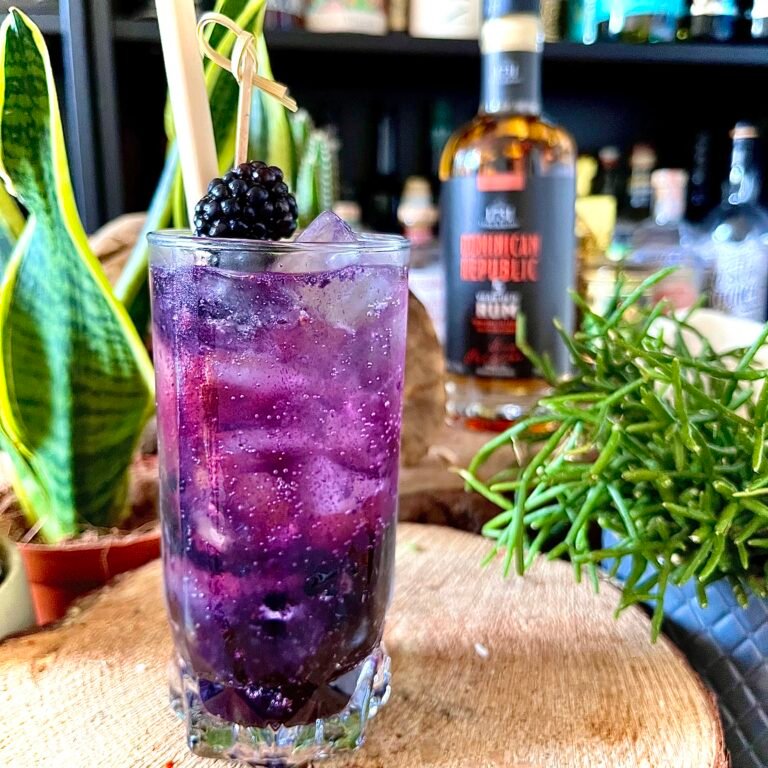 1731 Blackberry Fizz Rum Cocktail