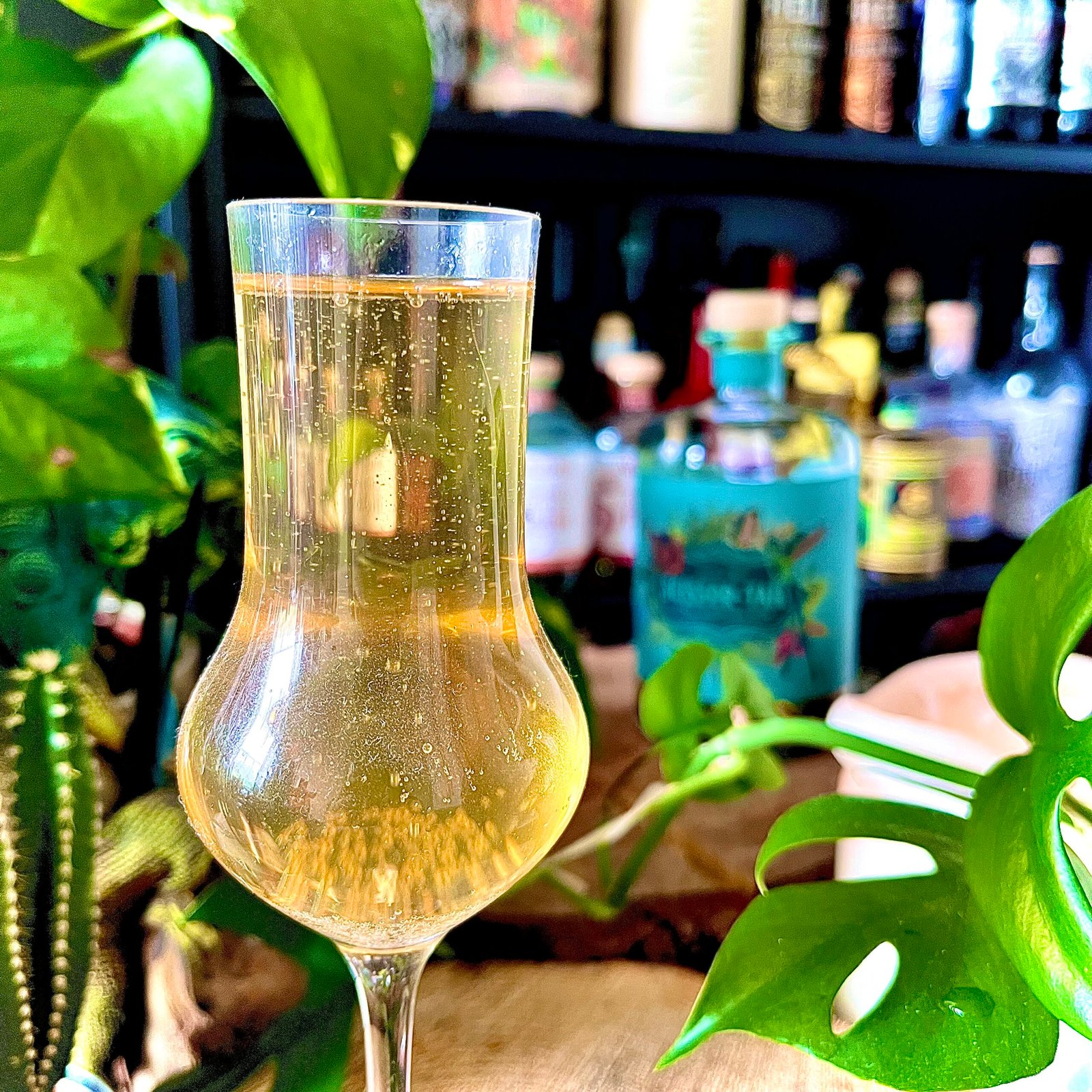 Scissortail Rum Fizz