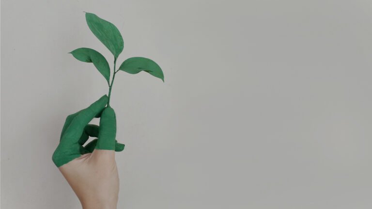 Sustainability in Sugarcan Production