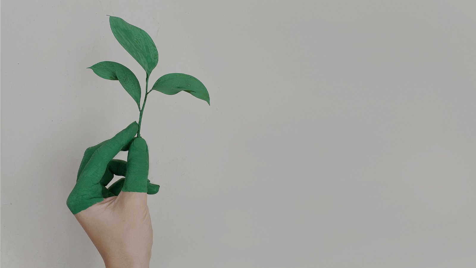 Sustainability in Sugarcan Production