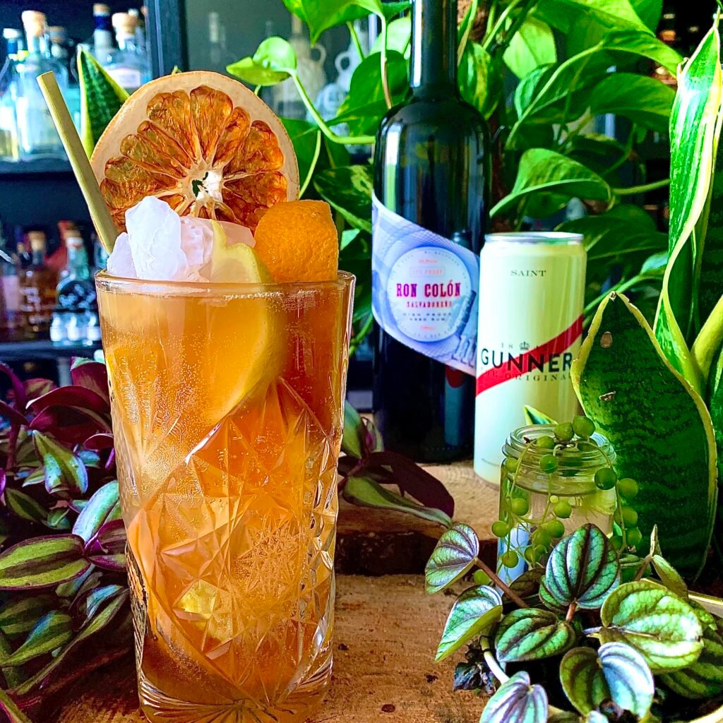 Orange and Lemon Highball Rum Cocktail