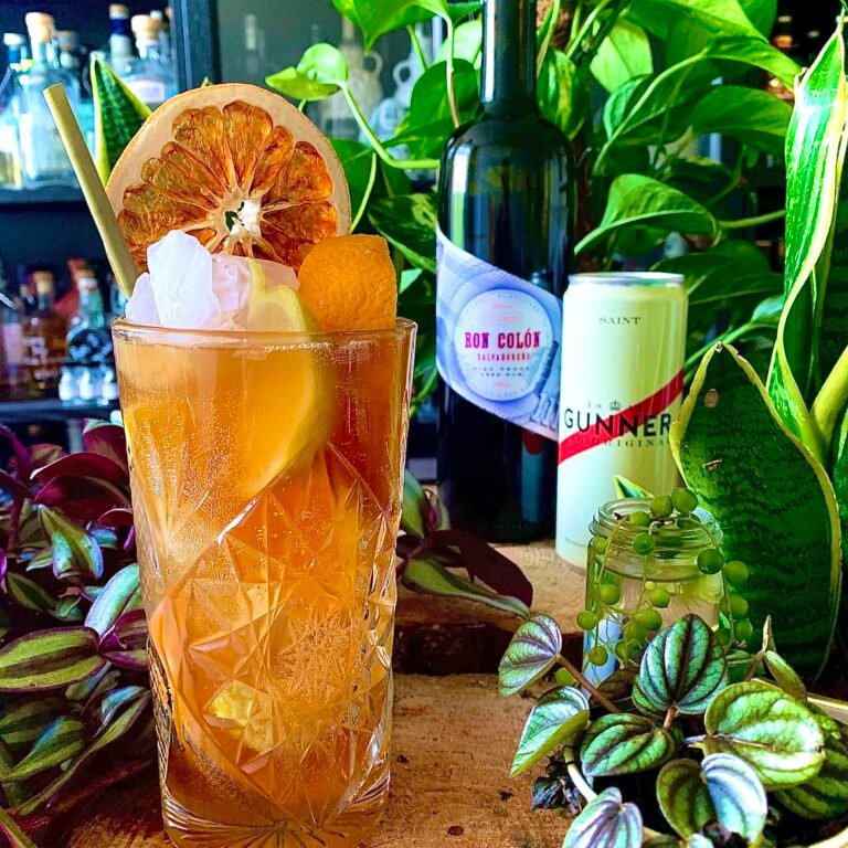 Orange and Lemon Highball Rum Cocktail